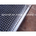 Good Quality Panel and Roll Crimped Wire Mesh (XA-CWM10)